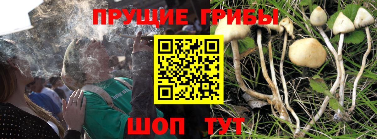 Галлюциногенные грибы мухоморы  Галлюциногенные грибы Cubensis  Вход с VPN  Краснотурьинск 